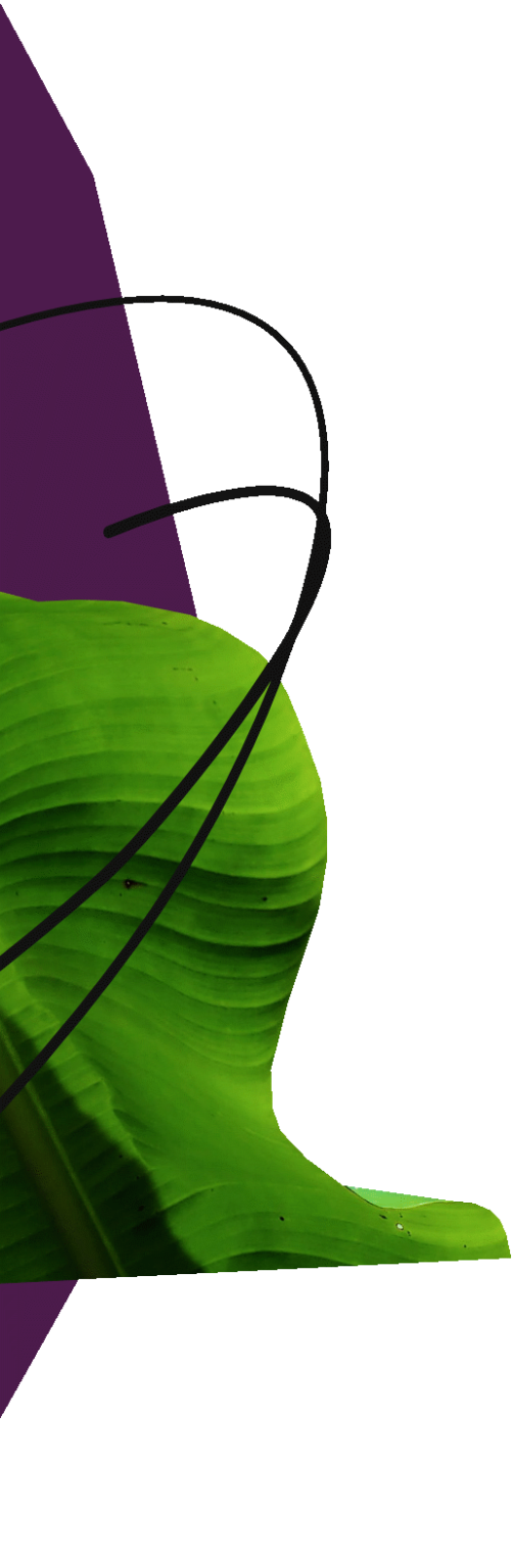 Future Work Design | Organizational Strategy and Design Firm